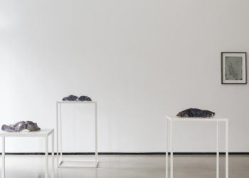 Lucia Pizzani: The Worshipper of the Image at Beers Contemporary, London