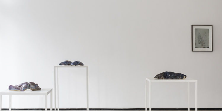 Lucia Pizzani: The Worshipper of the Image at Beers Contemporary, London