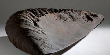 Yô Akiyama exhibition / ARTCOURT Gallery, Osaka, Japan