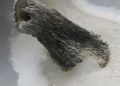 Swept Away: Dust, Ashes, and Dirt in Contemporary Art and Design / MAD Museum, New York