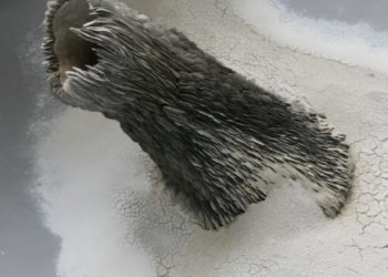 Swept Away: Dust, Ashes, and Dirt in Contemporary Art and Design / MAD Museum, New York