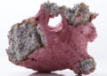 Aneta Regel Deleu exhibition / Puls Contemporary Ceramics, Brussels