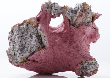 Aneta Regel Deleu exhibition / Puls Contemporary Ceramics, Brussels