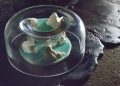 Weronika Lucinska Ceramics