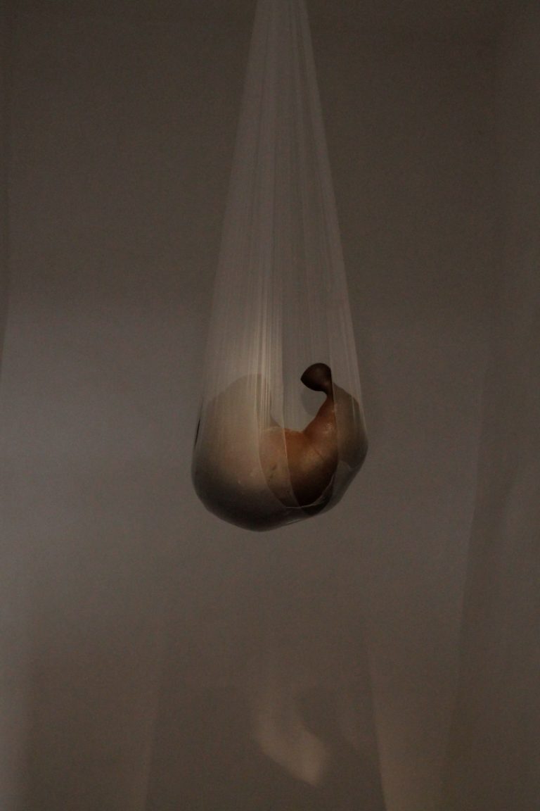 Krista Rutarartwork Kristina Rutar: On the Origin of Species - Ceramics Now