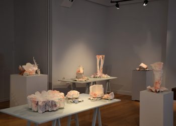 Laurent Petit: Conveying Oblivion at Galerie de l’Ancienne Poste