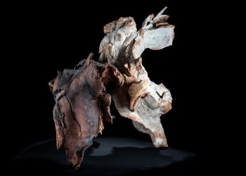 Ray Chen Ceramics