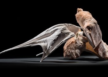 Ray Chen Ceramics