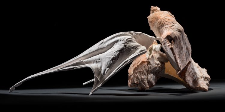 Ray Chen Ceramics