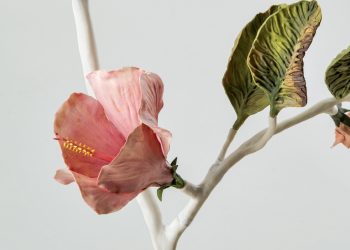 Avital Avital Ceramics