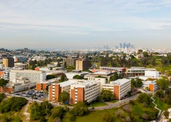 Job: Assistant Professor of Art with emphasis in Ceramics at California State University, Los Angeles