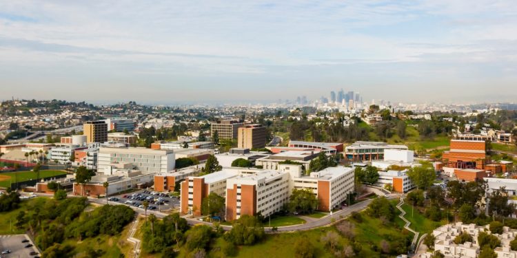 Job: Assistant Professor of Art with emphasis in Ceramics at California State University, Los Angeles