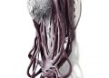 Pernille Braun Glass Artist