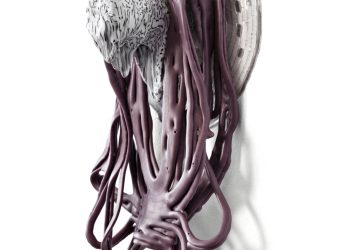 Pernille Braun Glass Artist
