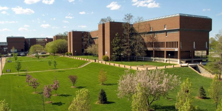Adjunct Faculty – Ceramics / Sculpture at St. Louis Community College
