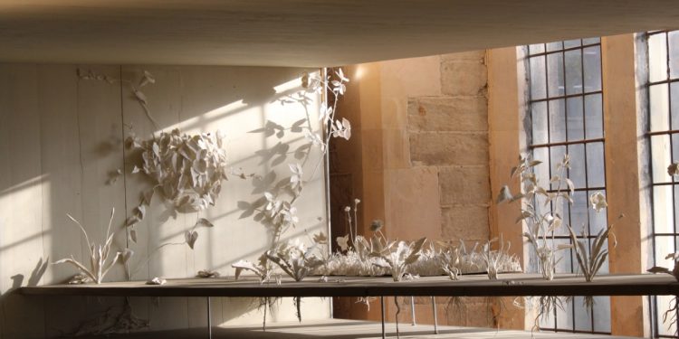 Katie Spragg Ceramic artist