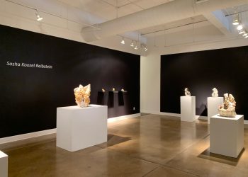 Sasha Koozel Reibstein: Even the Ground Gives Way at Duane Reed Gallery, St. Louis