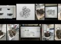Theo Harper article about ceramics - 3D Printing Backwards