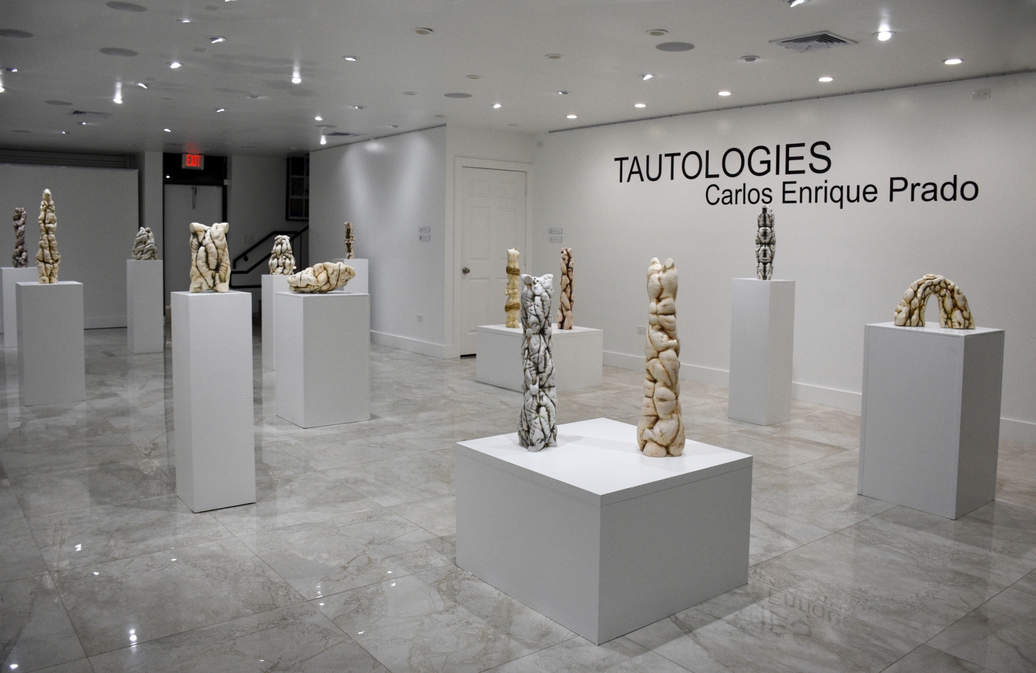Carlos Enrique Prado: Tautologies at Kendall Art Center, Miami, 2022