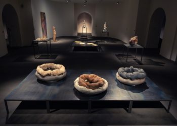 Migration(s) at Ariana Museum, Geneva, 2022