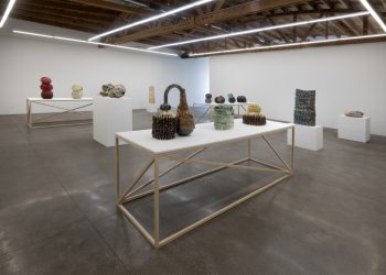 Anina Major: Inheritance at Shoshana Wayne Gallery, Los Angeles