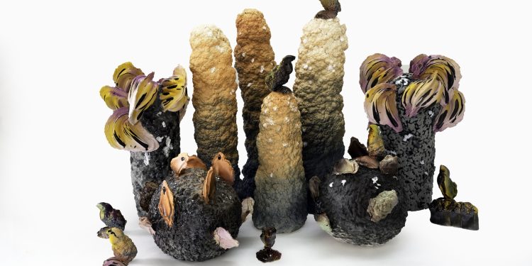 Noa Chernichovsky Ceramics