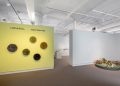 Anat Shiftan: Life & Still at Zillman Art Museum, Bangor