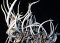 Jennifer Ramsay Ceramics