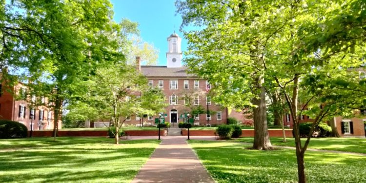 Assistant Professor of Instruction in Ceramics and Technology at Ohio University