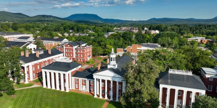 Curator / Associate Curator of Ceramics at Washington and Lee University