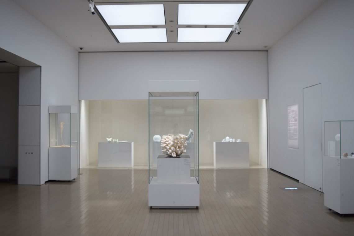 Voices in Ceramics Contemporary Hungarian Ceramic Art at Museum of