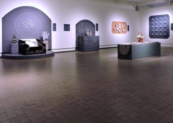 Dina Perlasca: Campos de Fuerza / Force Fields at Roswell Museum