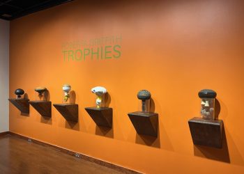 Roberta Griffith: Trophies at the Everson Museum of Art, Syracuse