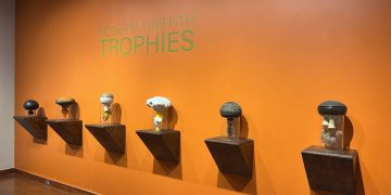 Roberta Griffith: Trophies at the Everson Museum of Art, Syracuse