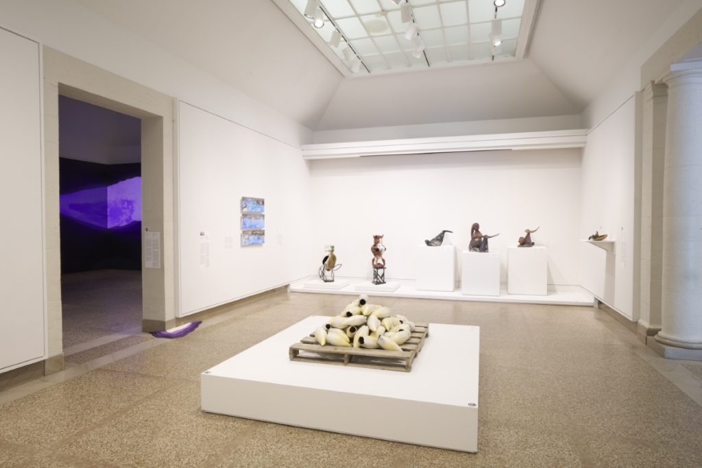 Courtney M. Leonard: Logbook 2004–2023 at The Heckscher Museum of