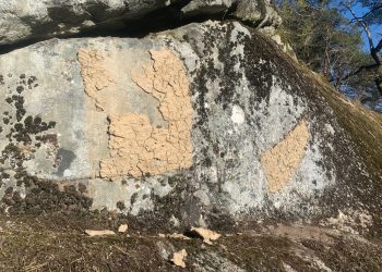 Diana Butucariu artist