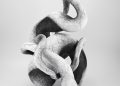 Judi Tavill Ceramics