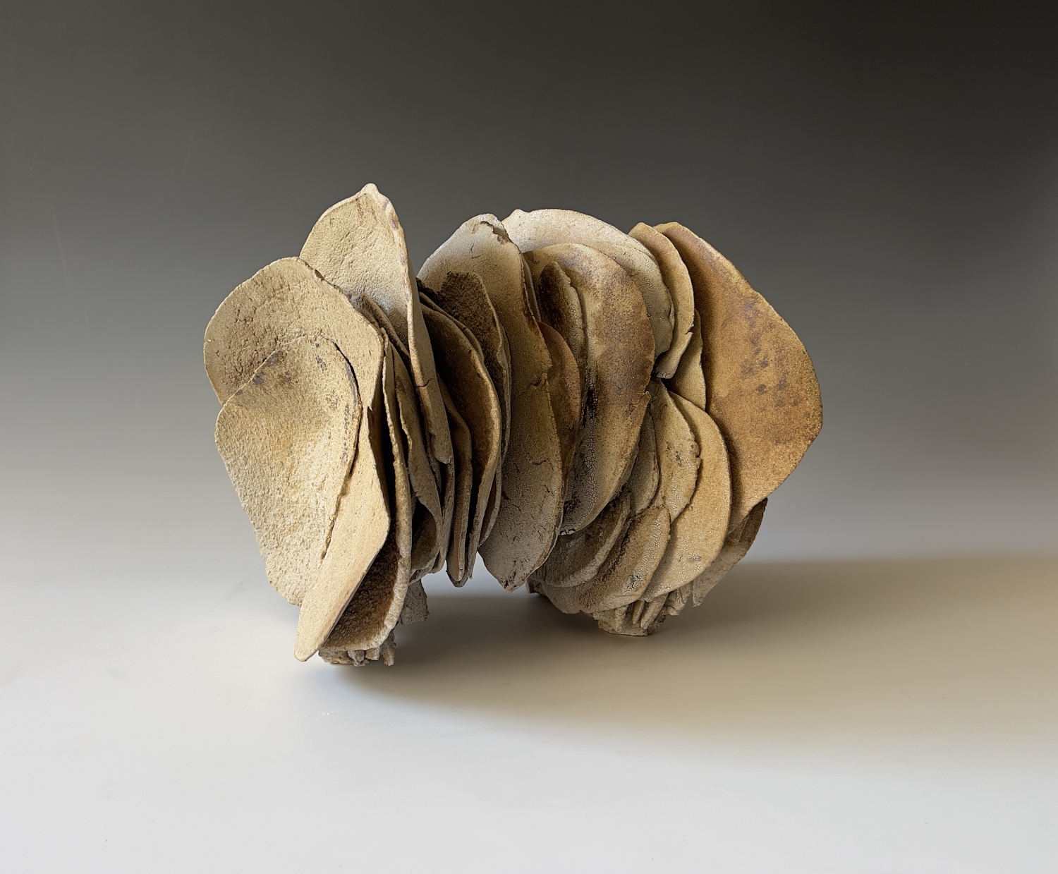 Jacqueline Schapiro ceramics