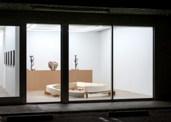 Kentaro Kawabata and Bruce Nauman at Nonaka Hill