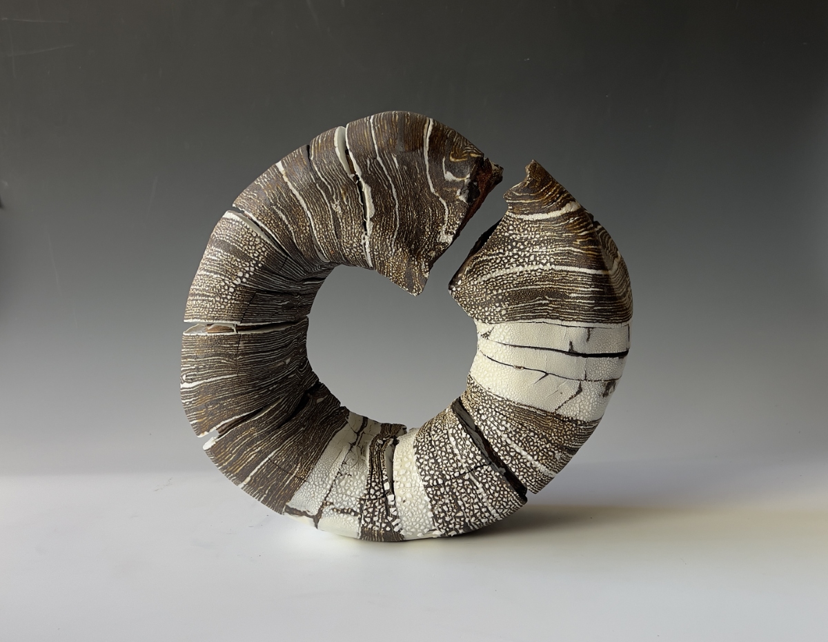 Jacqueline Schapiro ceramic art