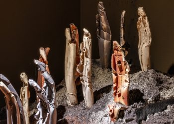 Norma Grinberg ceramic art