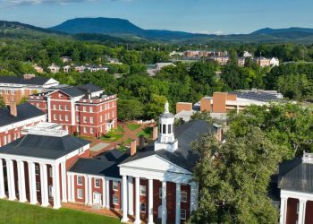 Assistant Curator of Ceramics at the Museums at Washington & Lee University
