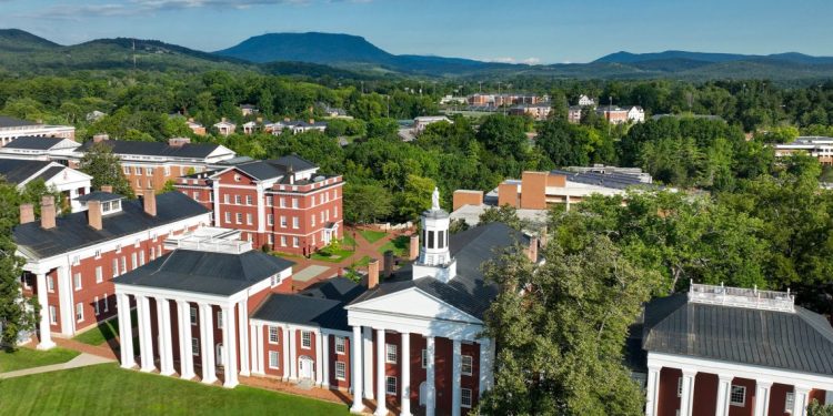 Assistant Curator of Ceramics at the Museums at Washington & Lee University