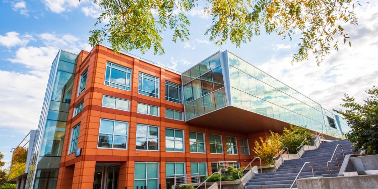 Assistant Professor of Art (Ceramics) at the State University of New York at New Paltz (SUNY)