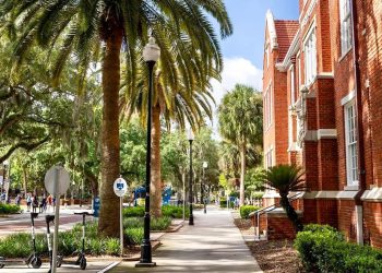 Assistant/Associate Professor of Ceramics in the Expanded Field at University of Florida