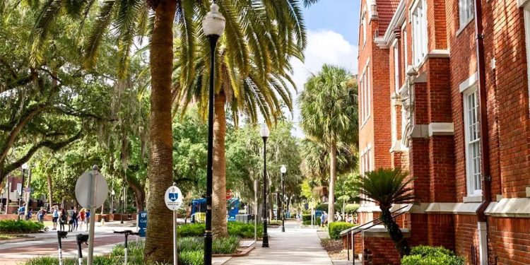 Assistant/Associate Professor of Ceramics in the Expanded Field at University of Florida