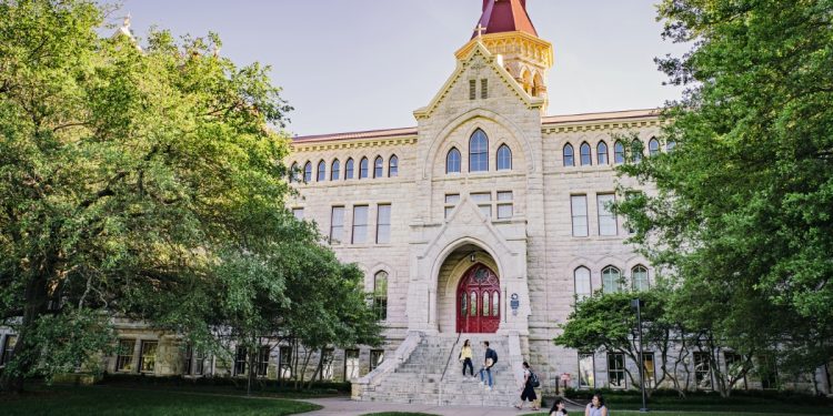 Assistant Professor of Ceramics and Sculpture at St. Edward’s University