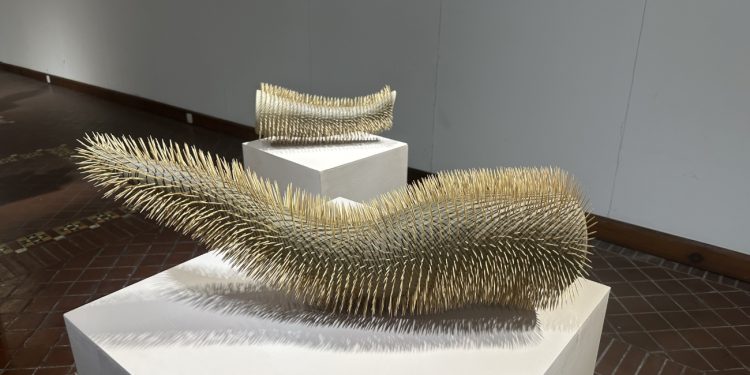 Javaria Ahmad ceramic art