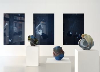 Anne Marie Laureys ceramics