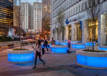 Georgia State University